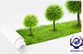 Environmental management